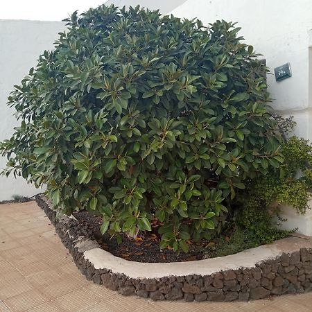 Aguas Verdes Betancuría エクステリア 写真